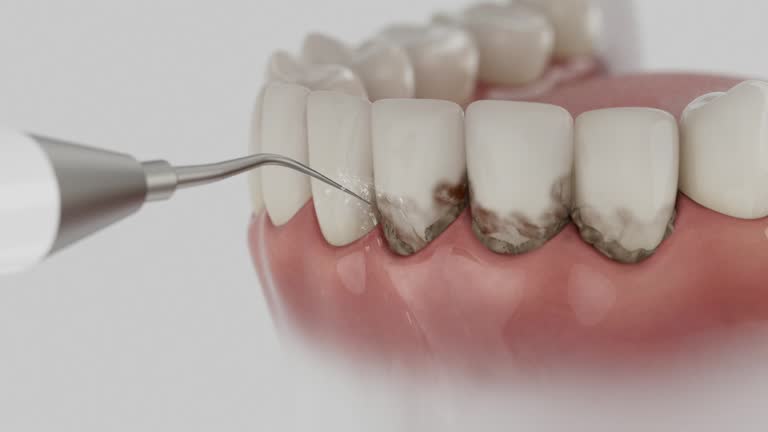 Reliable Emergency Dentist contractor in Iosco County County, MI by Dentist Open Now